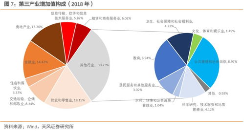 就地過年 一道復(fù)雜的一季度GDP數(shù)學(xué)題——以信息技術(shù)服務(wù)業(yè)為典型案例